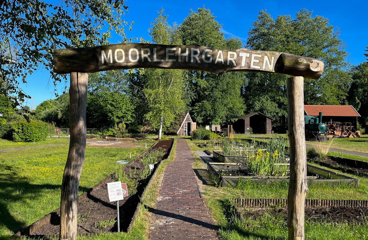 Moorlehrgarten_2025